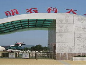 光明农场团建活动